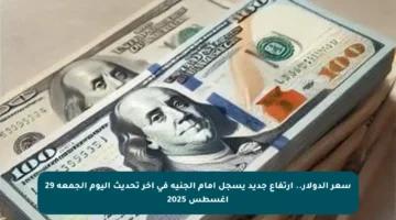 سعر الدولار.. ارتفاع جديد يسجل أمام الجنيه في آخر تحديث اليوم الجمعة 29 أغسطس 2025